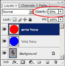 נתינת שקיפות לשכבה