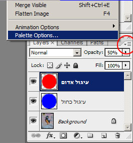 אפשרויות תצוגת שכבות